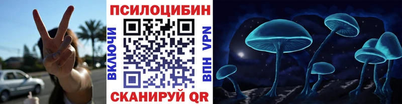 Галлюциногенные грибы Magic Shrooms  OMG маркетплейс  Новосиль  цена наркотик 
